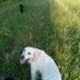 anna.surowiec.50