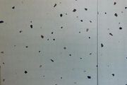 60x60 Terrazzo effect tiles - Ivory and Beige