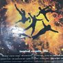 Inspiral  Carpets Vinyl  LP Image 2