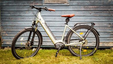 Cannondale Adventure Neo 2