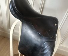 Saddle