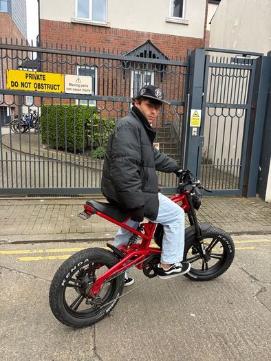 Electric Bike Hidoes B6
