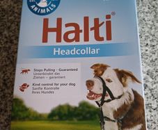 Halti Headcollar