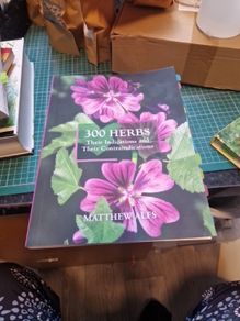 300 herbs their Indications and their contrai dications