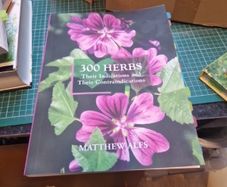 300 herbs their Indications and their contrai dications