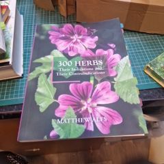 300 herbs their Indications and their contrai dications