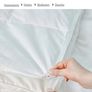 duvet Image 2