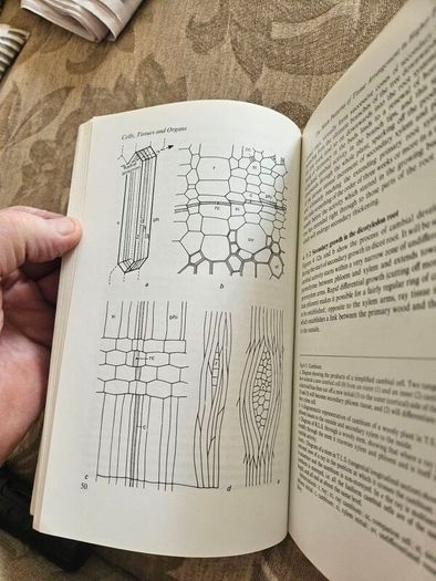 The Working Plant. By D.a. Coult. 1977 Paperback In Good Condition. See Photos For Same.