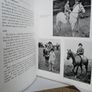 The Young Rider Picture Book by Golden Gorse (PT245) Image 6