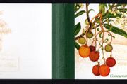 1995 Ireland National Botanic Gardens Commemorative Stamps Booklet Mint Never Hinged (MNH). Hibernian HB52.