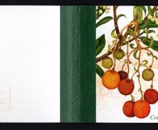 1995 Ireland National Botanic Gardens Commemorative Stamps Booklet Mint Never Hinged (MNH). Hibernian HB52.