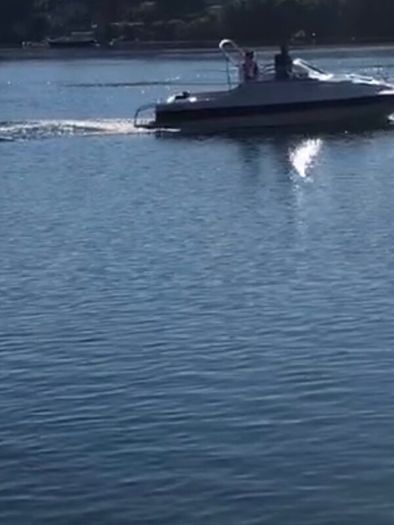 Boat Project Boat Bayliner 1994