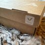 Veja V-10 Leather Sneakers Image 2