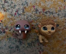 Animals