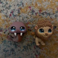 Animals