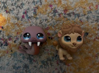 Animals