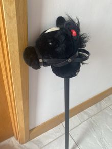 Hobby Horse
