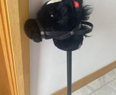 Hobby Horse
