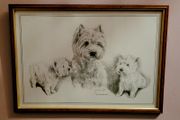 Vintage framed west highland terrier print