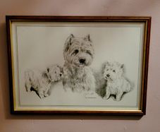 Vintage framed west highland terrier print