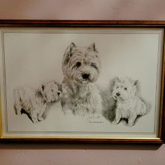 Vintage framed west highland terrier print