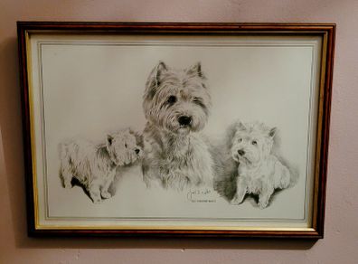 Vintage framed west highland terrier print