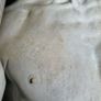 Michelangelo DAVID published by Giunt Image 6