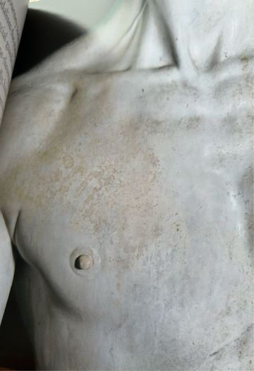 Michelangelo DAVID published by Giunt