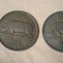 14 Pingin coins Image 10