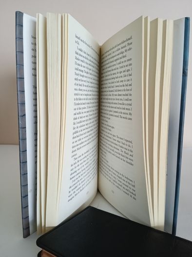 44: A Dublin Memoir by Peter Sheridan (RB530)