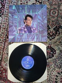The Associates: Perhaps LP
