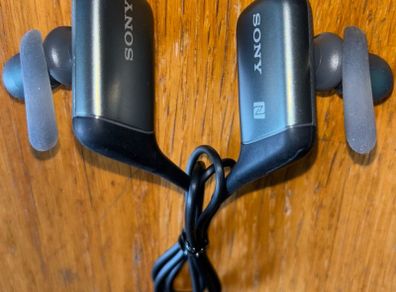 Sony MDR-AS600BT In-Ear Bluetooth Headphones