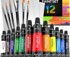 Acrylic Paint Set for Kids, Artists and Adults - 12 Vibrant Colors, 6 Brushes and 3 Paint Canvases