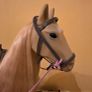 Horse our Generation Image 4