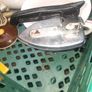 Carboot Box lot of Items sold as a lot, Crate not included., More Lots Available in my other Items, Collection Only in Rochfortbridge Westmeath Image 6
