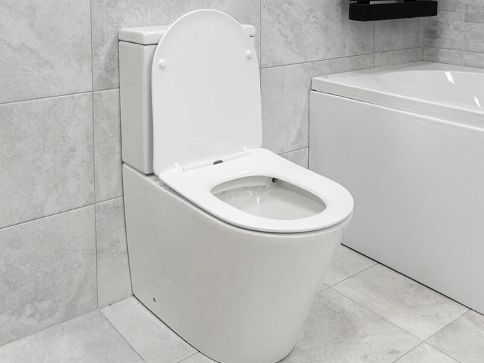 Rimless Toilet