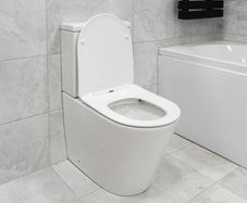Rimless Toilet