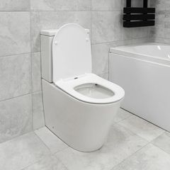 Rimless Toilet