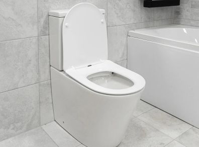 Rimless Toilet