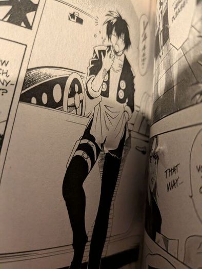 Black Cat manga 1-20
