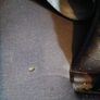 graco car seat Image 5