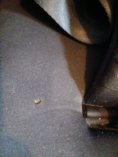 graco car seat