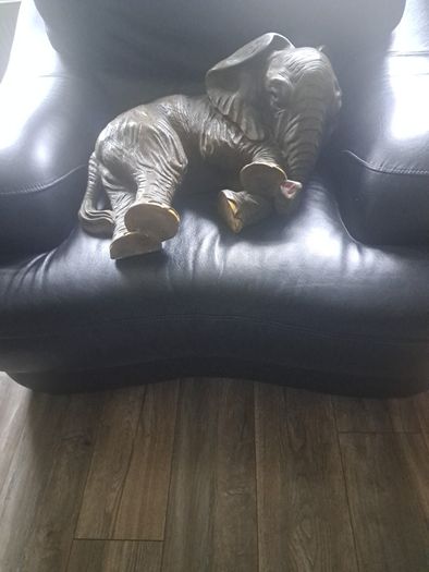 Large Elephant