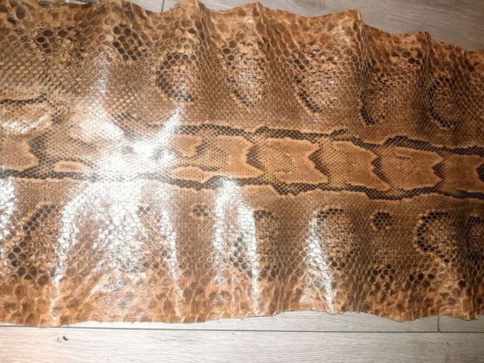 Genuine python hide 4m long