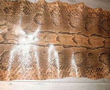 Genuine python hide 4m long