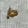 Gold bird brooch (antique) Image 2