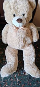 teddy bear