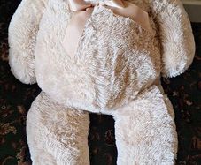 teddy bear