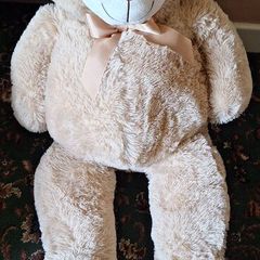 teddy bear