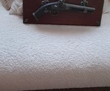 Gun